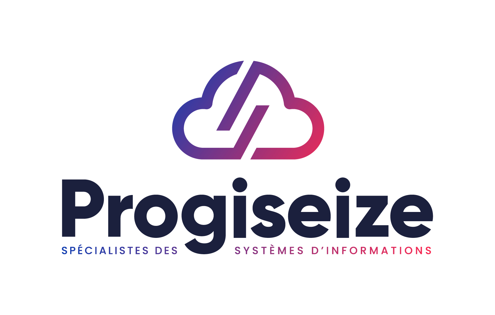 Progiseize